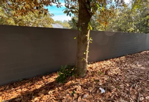 exterior painting belleview fl